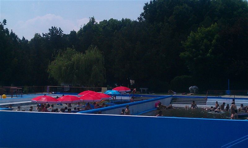 Zona de camping printre copaci